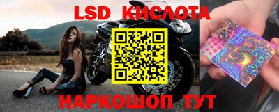 прущий лед Новозыбков