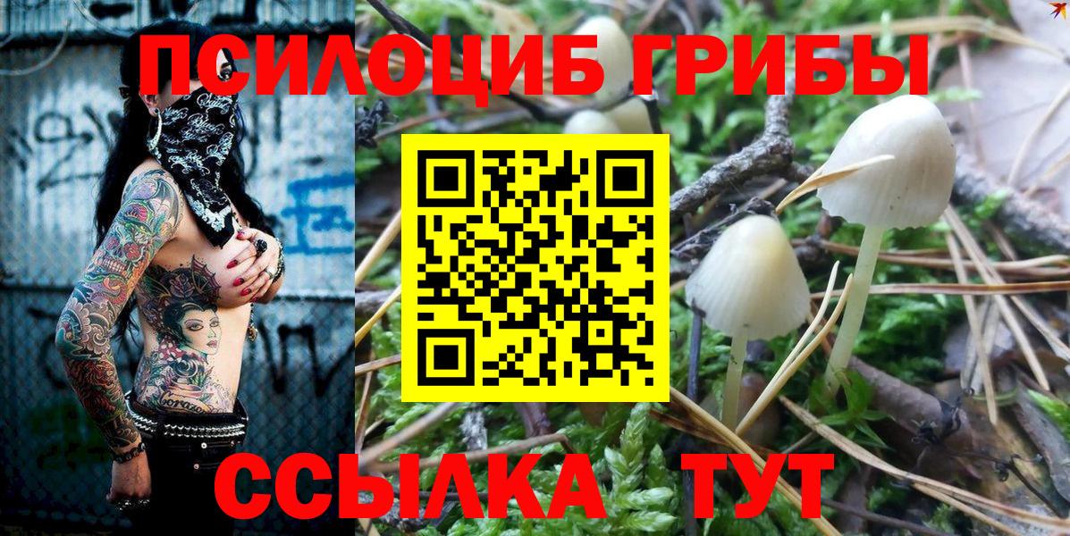 Псилоцибиновые грибы мухоморы Усолье-Сибирское
